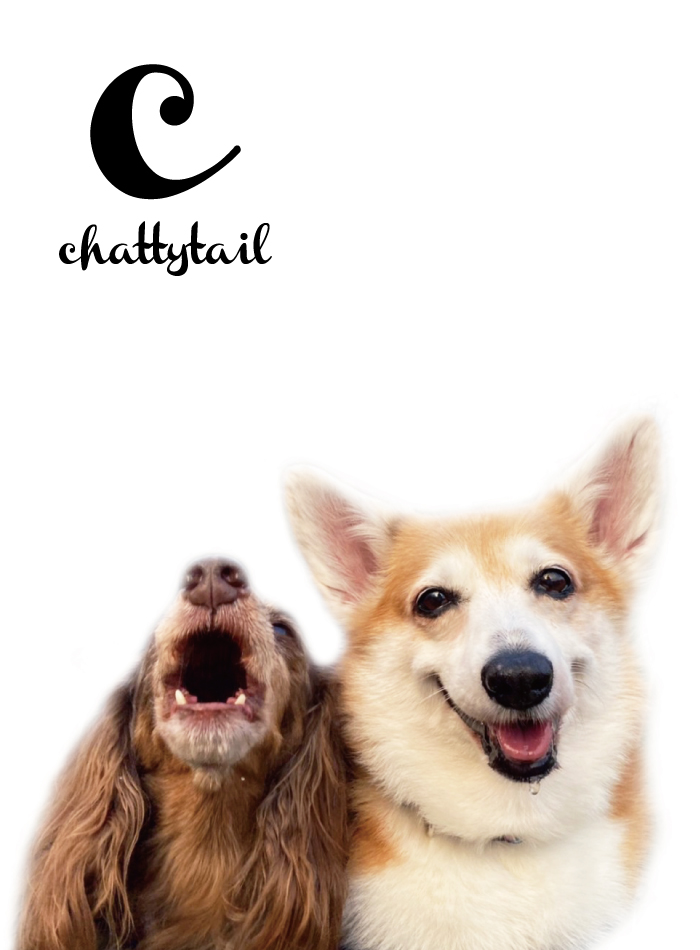 chattytail